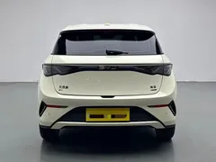 2025 BYD Dolphin Smart Driving 420km Freedom EV — фото 8