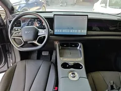 2025 BYD Sealion 06 DM-i PHEV 205 Plus — фото 10