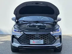 2025 BYD Tang DM-i PHEV 115km Premium — фото 8