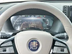 2025 BYD Tang DM-i PHEV 115km Premium — фото 10