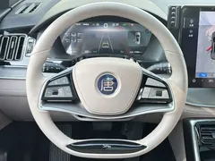 2025 BYD Tang DM-i PHEV 115km Premium — фото 12