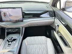 2025 BYD Tang DM-i PHEV 115km Premium — фото 15