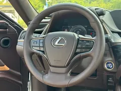 2020 Lexus ES 300h Excellence, белый — фото 9