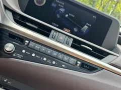 2020 Lexus ES 300h Excellence, белый — фото 11