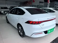 2024 BYD Qin PLUS Honor DM-i PHEV 55km Leading, белый — фото 5