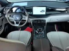 2024 BYD Qin PLUS Honor DM-i PHEV 55km Leading, белый — фото 10