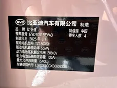 2025 BYD Seagull 405km Flying Smart Driving — фото 16