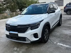 2023 Kia Seltos 1.5L CVT Luxury, белый — фото 1