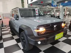 2023 Tank 300 Off-road 2.0T Conqueror — фото 4
