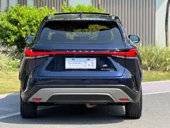 2023 Lexus RX 350h 4WD, синий — фото 15