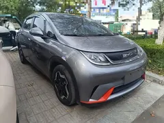 2021 BYD Dolphin 405km Fashion — фото 4