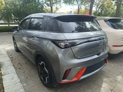 2021 BYD Dolphin 405km Fashion — фото 5