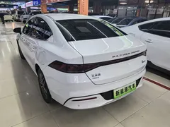 2023 BYD Qin PLUS Champion DM-i PHEV 120KM, белый — фото 4