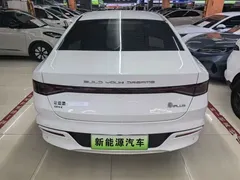 2023 BYD Qin PLUS Champion DM-i PHEV 120KM, белый — фото 5