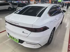 2023 BYD Qin PLUS Champion DM-i PHEV 120KM, белый — фото 6