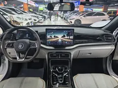 2023 BYD Qin PLUS Champion DM-i PHEV 120KM, белый — фото 8