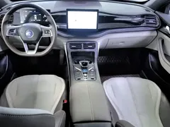 2024 BYD Qin PLUS Honor DM-i PHEV 55km Leading — фото 8
