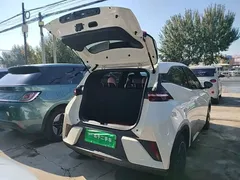 2025 BYD Seagull EV 305km, белый — фото 19