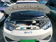 2025 BYD Seagull EV 305km, белый — фото 20