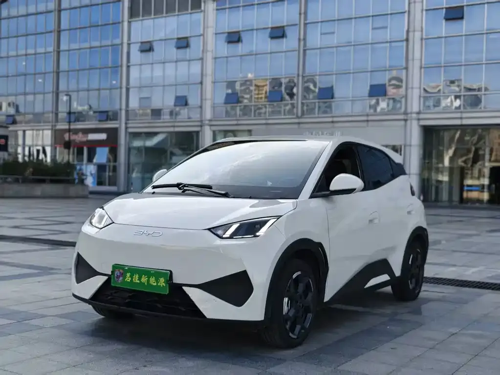 2025 BYD Seagull Smart Driving 405km Freedom