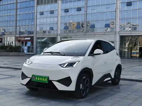 2025 BYD Seagull Smart Driving 405km Freedom