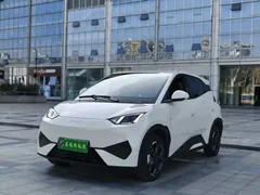 2025 BYD Seagull Smart Driving 405km Freedom — фото 1