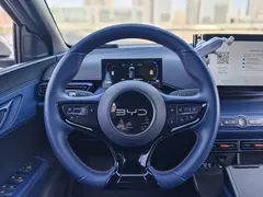 2025 BYD Seagull Smart Driving 405km Freedom — фото 10