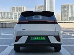 2025 BYD Seagull Smart Driving 405km Freedom — фото 16