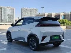 2025 BYD Seagull Smart Driving 405km Freedom — фото 17