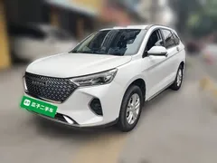 2021 Haval M6 Plus 1.5T DCT Elite, белый — фото 2