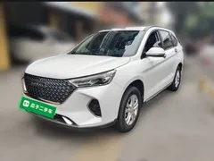 2021 Haval M6 Plus 1.5T DCT Elite, белый — фото 25