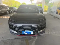 2022 Jetour Dashing 1.6T DCT King — фото 3