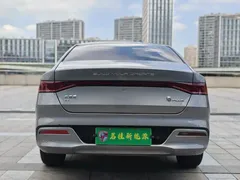 2024 BYD Qin PLUS Honor EV 510km — фото 6