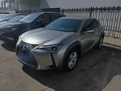 2020 Lexus UX 200 Special Edition — фото 1