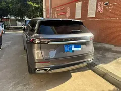 2023 Chery Tiggo 9 2.0T DCT 2WD Premium 7-seat — фото 11
