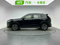 2022 Haval Chitu 1.5T, чёрный — фото 3