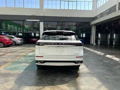 2023 Chery Tiggo 9 2.0T DCT 2WD Luxury 5-seat, белый — фото 9