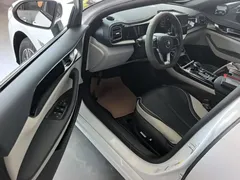 2021 BYD Qin PLUS DM-i PHEV 55km Flagship, белый — фото 16