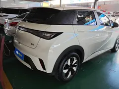 2024 BYD Dolphin Glory 420km Freedom — фото 3