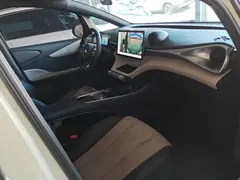 2024 BYD Dolphin Glory 420km Freedom — фото 8