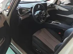 2024 BYD Dolphin Glory 420km Freedom — фото 9