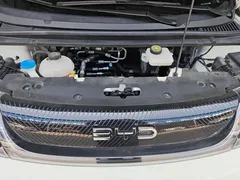 2024 BYD Dolphin Glory 420km Freedom — фото 10