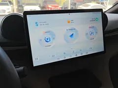 2024 BYD Dolphin Glory 420km Freedom — фото 13