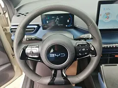2025 BYD Seagull 305km Vitality, белый — фото 11