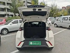 2025 BYD Seagull 305km Vitality, белый — фото 19