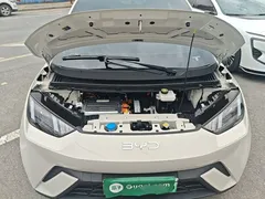 2025 BYD Seagull 305km Vitality, белый — фото 20