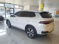 2022 BYD Song Pro DM-i PHEV 110km Flagship, белый — фото 5