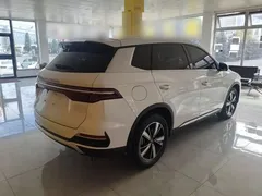 2022 BYD Song Pro DM-i PHEV 110km Flagship, белый — фото 7