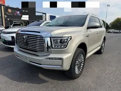 2022 Tank 500 3.0T Business 5-seat — фото 1