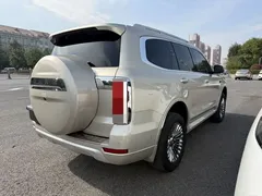 2022 Tank 500 3.0T Business 5-seat — фото 9